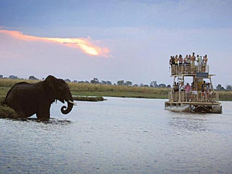 7 Days 6 Nights Livingstone – Victoria Falls, Zambia, and Chobe National Park and Okavango Delta T