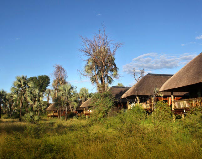 7 Days 6 Nights Livingstone – Victoria Falls, Zambia, and Chobe National Park and Okavango Delta T