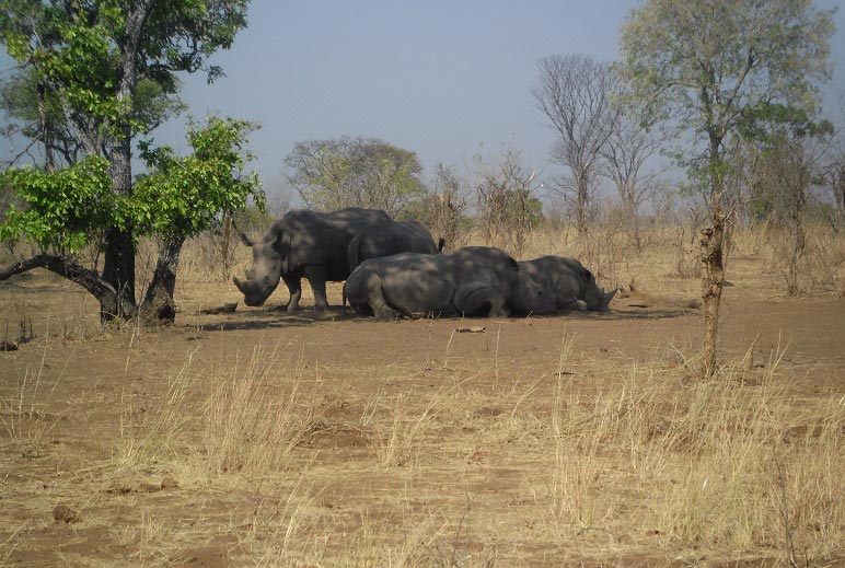 10 Days 9 Nights Livingstone, Kafue and South Luangwa National Park, Zambia Tour
