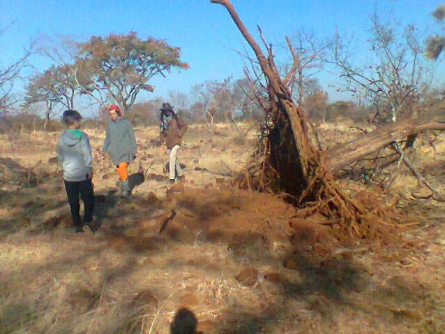 7 Days 6 Nights Livingstone and Kafue National Park Tour