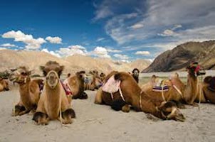 Ladakh Holiday Package
