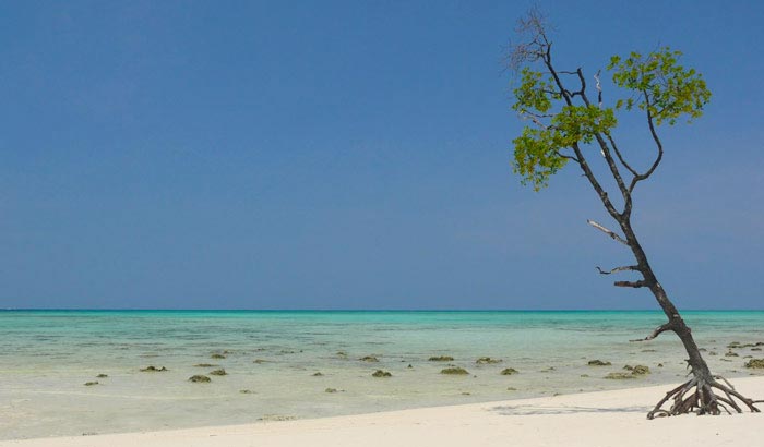 Happy Holidays In Andaman Islands Tour