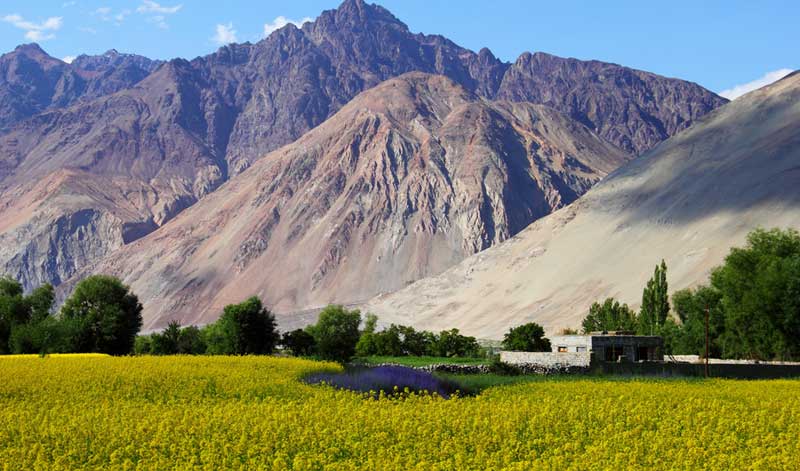 Admirable Kashmir Luxury Tour