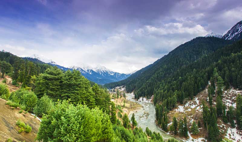 Jannat-e-Kashmir! Tour