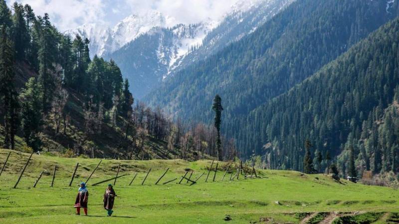 Amazing Kashmir Tour