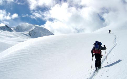 Kashmir Silvere Package)