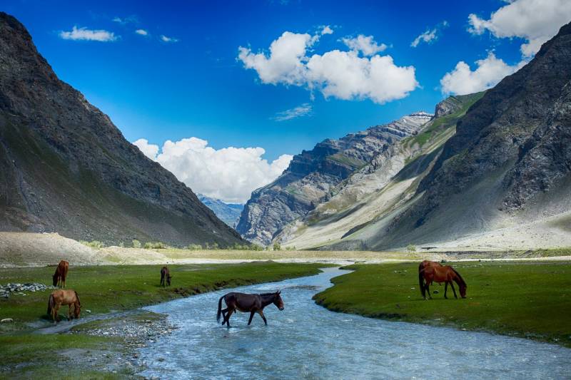 Ladakh Monestiries Tour