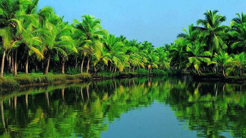 Kerala Summer Packages - Splendid Karala