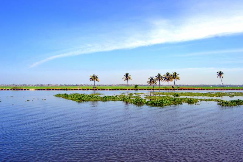 Kerala Tour Programme