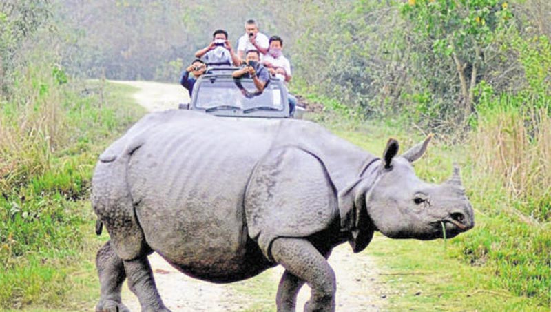 Wonders Of Two Sisters 13N/14D Package