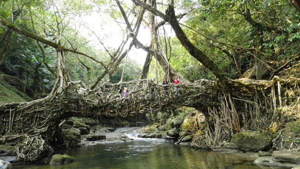 Wonders  Of Two Sisters 6N/7D Package