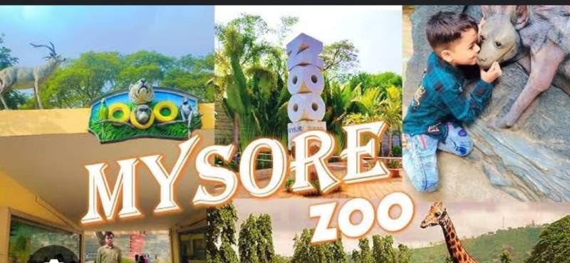 Mysore Ooty Coorg 3 Night 4 Days