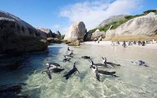 Scenic South Africa With Kwantu Tour