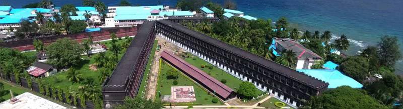 Havelock Neil Exotica