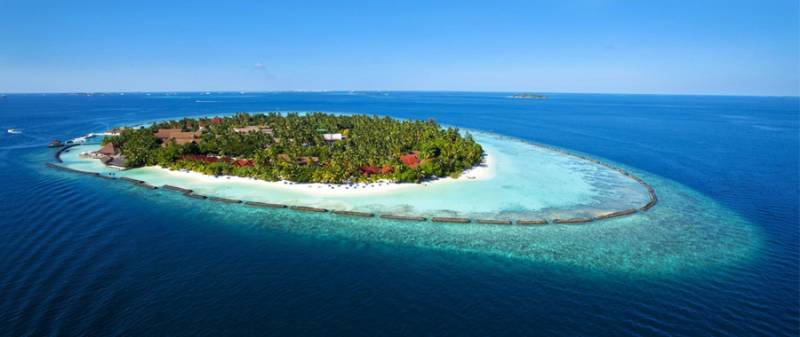 Havelock Neil Exotica