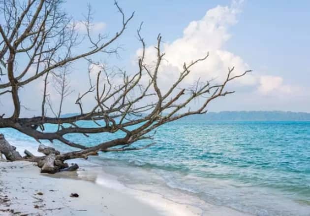 Havelock Neil Escapade