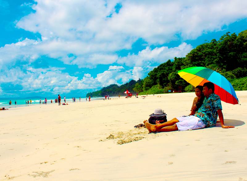 Havelock Neil Delight