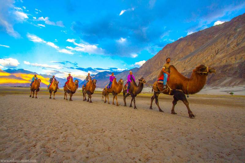 Highlights of Ladakh