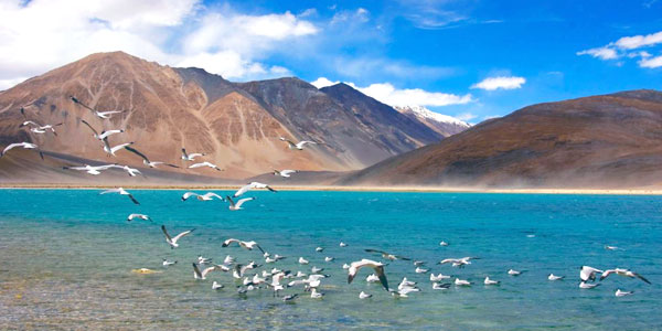 Highlights of Ladakh