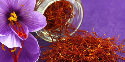 Flexi Honeymoon Kashmir