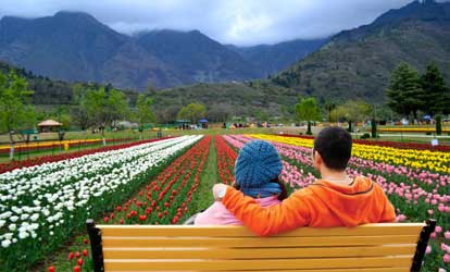 Kashmir Honeymoon Package