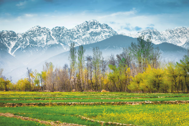 Kashmir Honeymoon Package