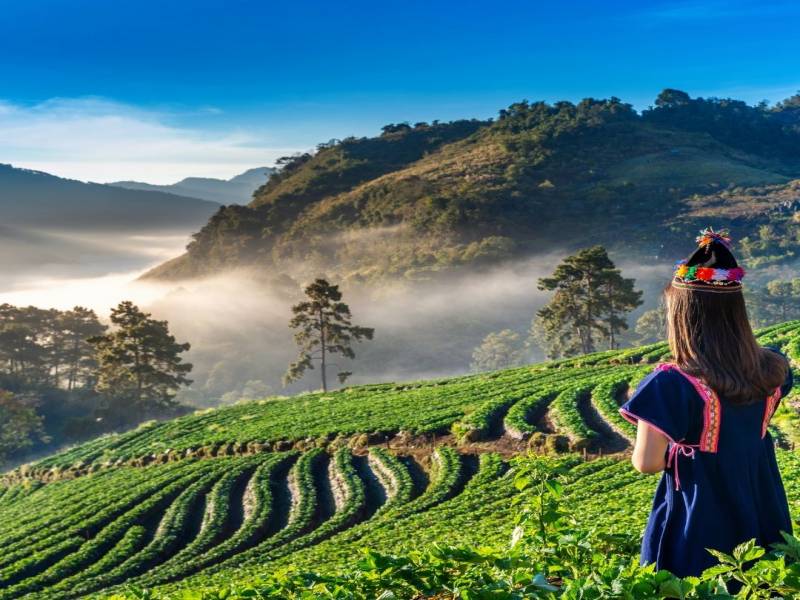 Enchanting Darjeeling Tour