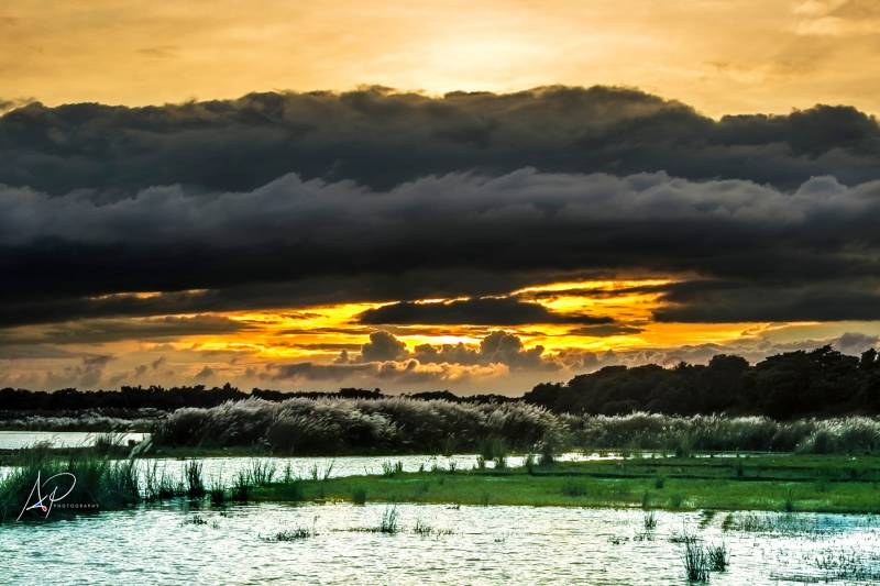 Mandir-Moy  Pathra- The Temple Town
