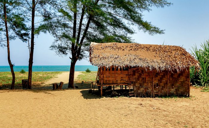 Blue Ocean Safari Tour