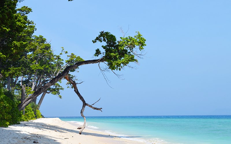 Romantic Getaways Package 6 Nights - 7 Days