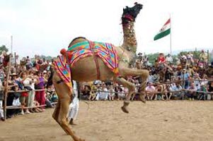 Golden Triangle Tour With Ajmer And Pushkar