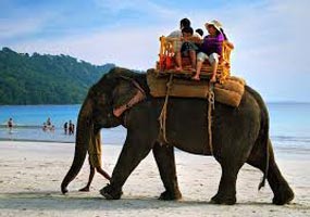Paradise Called Andaman's Tour