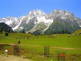 Beauty Of Kashmir Himalaya Tour