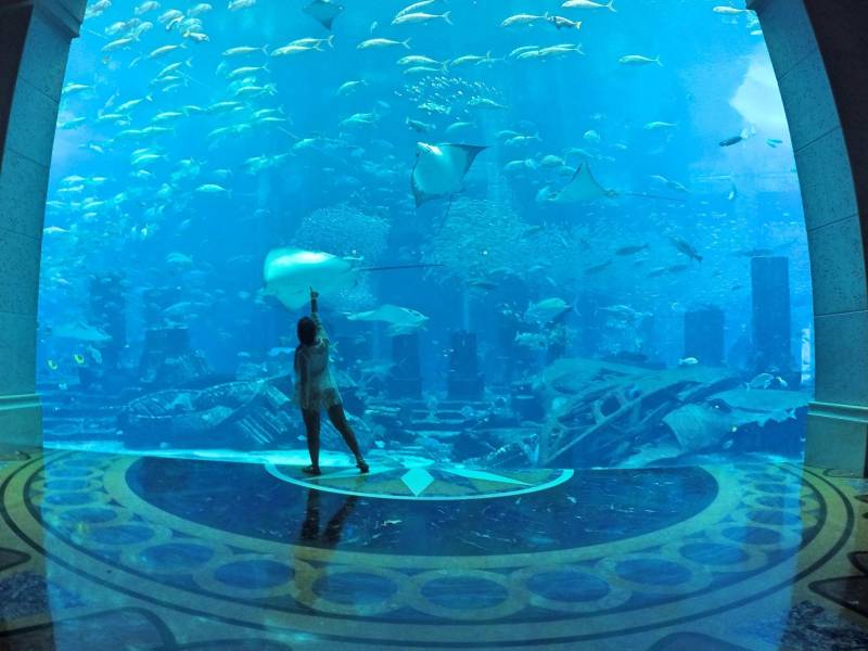 Dubai Honeymoon With Palm Atlantis Stay Tour