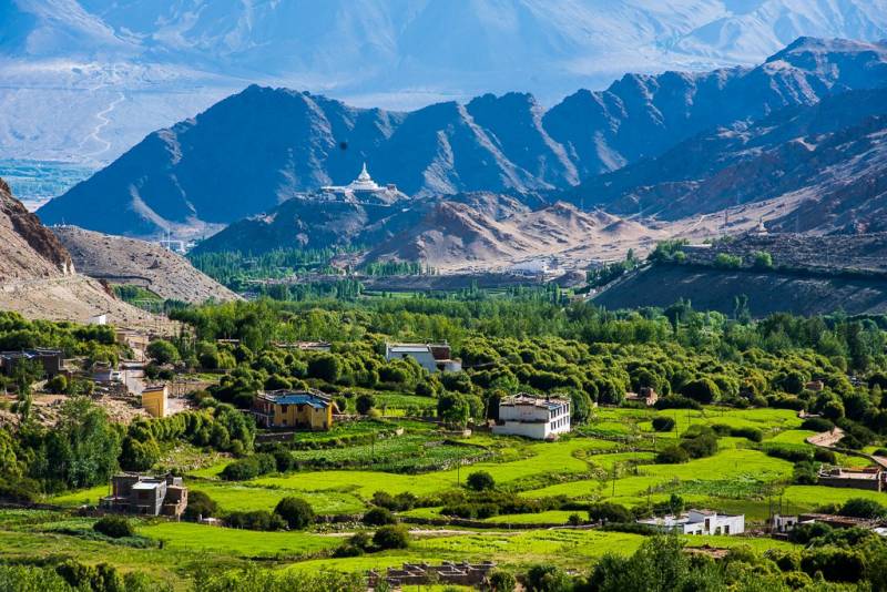 Leh - Alchi - Sangam - Nubra - Hemis - Pangong - Tsomoriri - Tsokar Tour