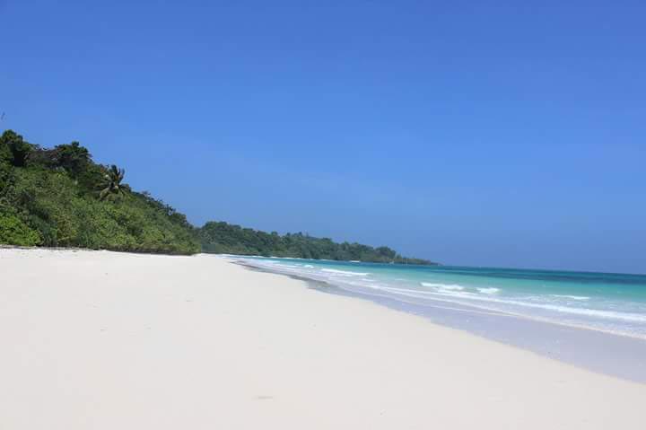 Romantic Fantasy - Honeymoon Package