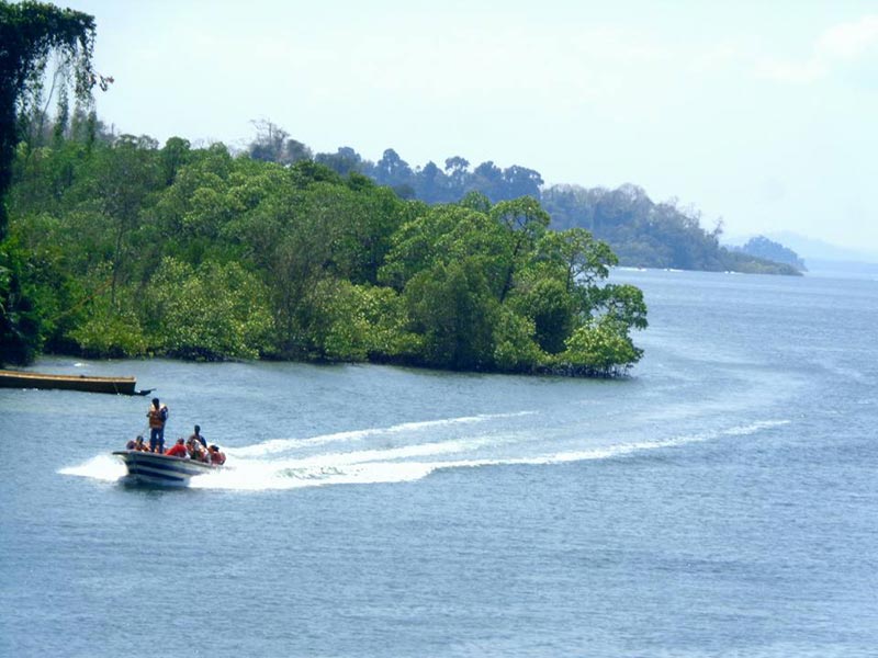 Romantic Fantasy - Honeymoon Package