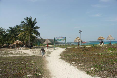 Romantic Fantasy - Honeymoon Package