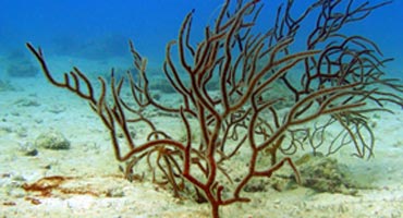 Bliss In The Sand - Family Package