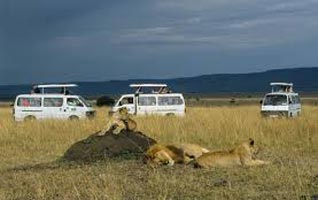 Classic Kenya And Tanzania Safaris Tour