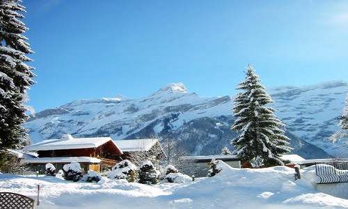 Snow Peak Retreat Manali Package