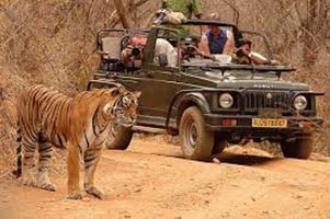 The Golden Triangle And Ranthambore Tour