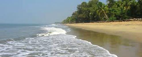 Cherai Beach - Cochin Tour
