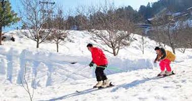 Dance Masti Enjoy Manali & Shimla Tour