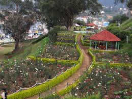 Ooty Tour Package For 5 Days