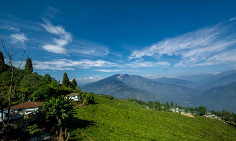 North East Delight With Pelling (Honeymoon Special)