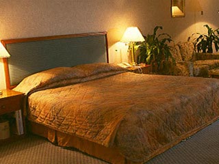 Best Seller Dubai with Trio Pack Land Only Tour