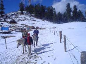 Manali By Volvo Tour