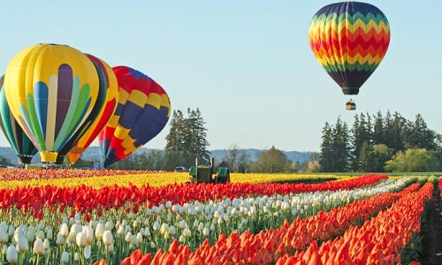 Valley Of Kashmir Tour