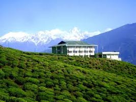 North East Delight With Pelling (Honeymoon Special) Tour